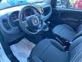 Fiat Panda Cross 1.0 firefly Hybrid Bianco - thumbnail 5