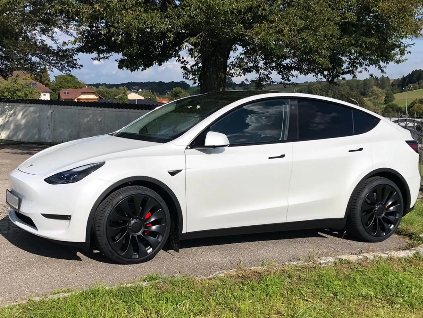 Tesla Model Y Model Y AWD 79kWh Performance Performance Weiß - 1