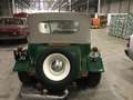 Volkswagen Buggy Classica Yeşil - thumbnail 6
