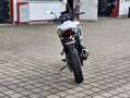 Honda Transalp XL750S ´Transalp Tricolor ´ - thumbnail 2