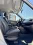 Fiat Doblo Doblò Weiß - thumbnail 24