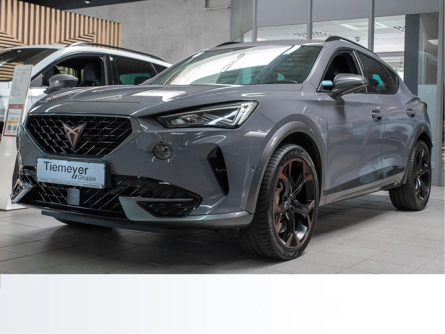 CUPRA Formentor VZ 2.0 TSI BREMBO BEATS eKLAPPE FULL-L Grigio - 2