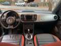 Volkswagen Beetle Cabriolet Club BMT 8-Fach NAV PDC SHZ Schwarz - thumbnail 8