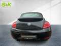 Volkswagen Beetle Cabriolet Club BMT ABS Fahrerairbag ESP ZV Schwarz - thumbnail 3
