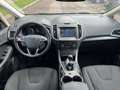 Ford S-Max 2.0 TDCi 120CV Start&Stop Business Bianco - thumbnail 11