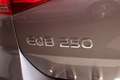 Mercedes-Benz EQB 250 Luxury Line | Panorama-schuifdak | 360° camera Grijs - thumbnail 13