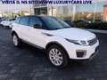 Land Rover Range Rover Evoque 2.0 eD4 5p. Pure UNICO PROPRIETARIO Blanc - thumbnail 4