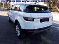 Land Rover Range Rover Evoque 2.0 eD4 5p. Pure UNICO PROPRIETARIO Blanc - thumbnail 6