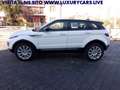 Land Rover Range Rover Evoque 2.0 eD4 5p. Pure UNICO PROPRIETARIO Blanc - thumbnail 5