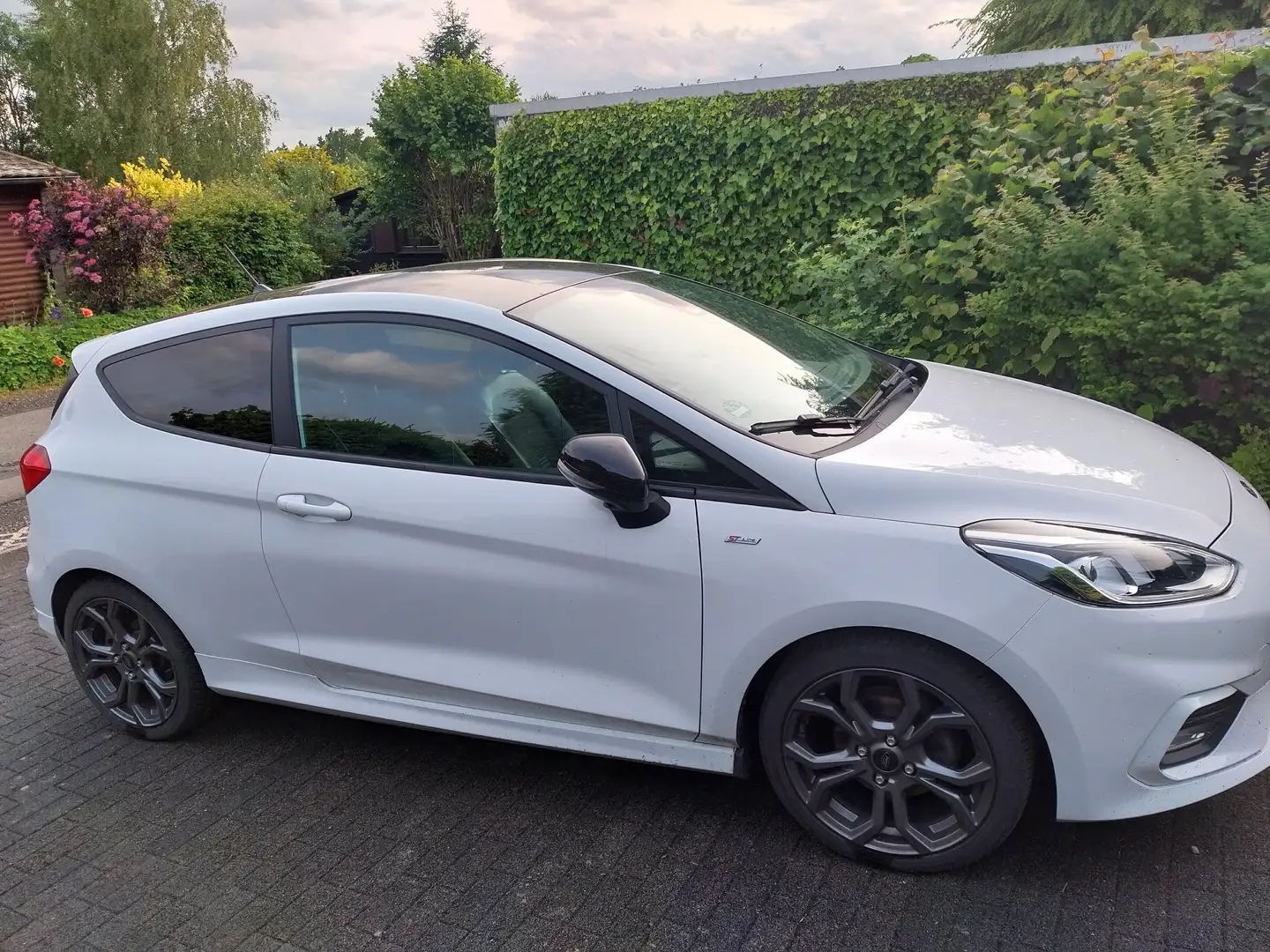 Ford Fiesta Fiesta 1.0 EcoBoost S Bílá - 1