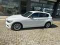 BMW 116 116d 5p Business Blanco - thumbnail 4