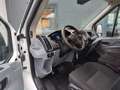 Ford Transit Transit Kasten 2,0 TDCi L2H2 290 Startup Weiß - thumbnail 8