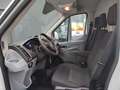 Ford Transit Transit Kasten 2,0 TDCi L2H2 290 Startup Weiß - thumbnail 7