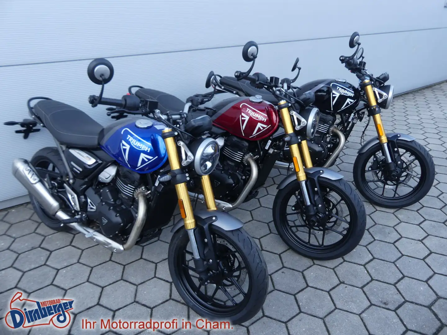 Triumph Speed 400 - neues Modell 2024 jetzt Probefahr Roşu - 1