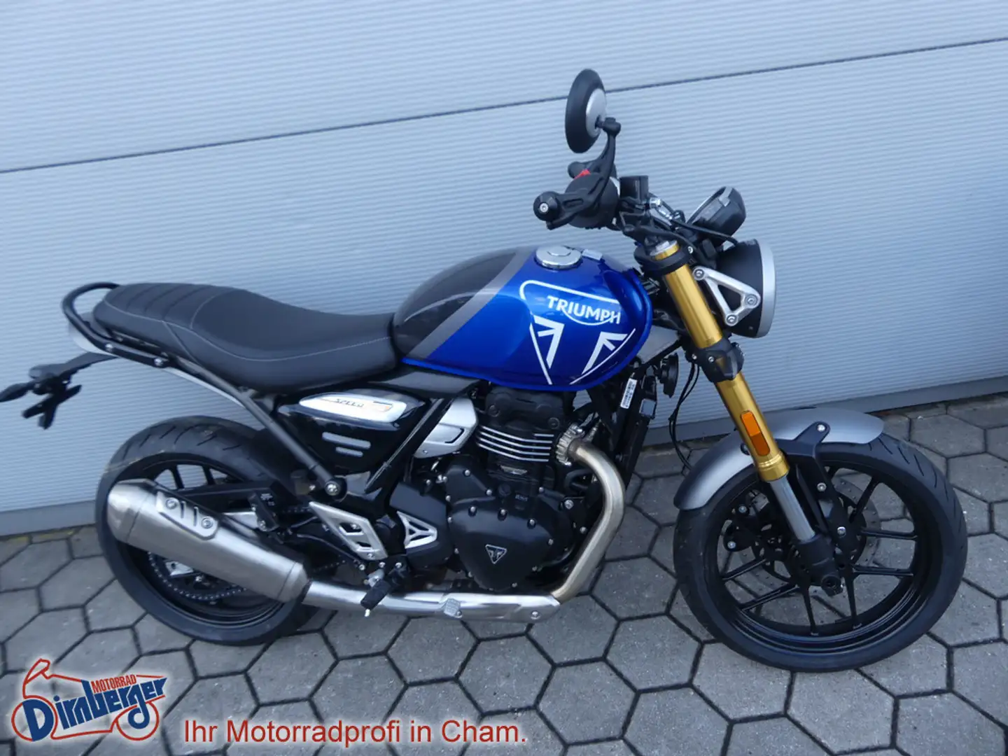 Triumph Speed 400 - neues Modell 2024 jetzt Probefahr Roşu - 2