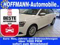 Skoda Fabia Klima,Dachreling,Sitzhzg.,Bluetooth Weiß - thumbnail 1