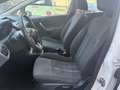 Ford Fiesta 5p 1.2 + Gpl scadenza bombole 2029 Bianco - thumbnail 10