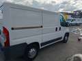 Citroen Jumper Fg. 2.0BlueHDi 30 L1H1 110 Blanco - thumbnail 4