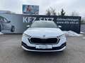 Skoda Octavia Combi 2,0 TDI DSG | NP €40.000 Weiß - thumbnail 8