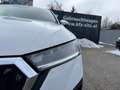 Skoda Octavia Combi 2,0 TDI DSG | NP €40.000 Weiß - thumbnail 37