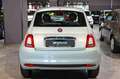 Fiat 500 Hybrid 1.0 70cv Cult Verde - thumbnail 6
