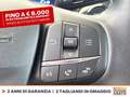 Ford Fiesta active 1.0 ecoboost h x 125cv Grigio - thumbnail 23