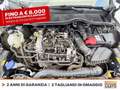 Ford Fiesta active 1.0 ecoboost h x 125cv Grigio - thumbnail 13