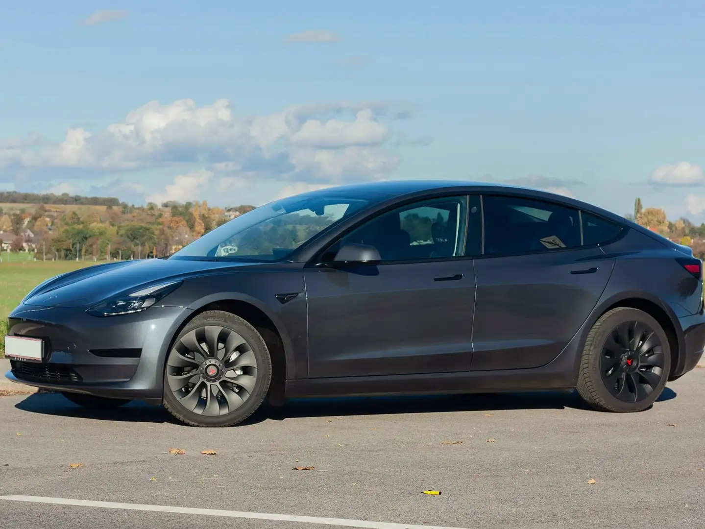 Tesla Model 3 Model 3 Standard Range RWD Plus 57,5kWh RWD Plus Grau - 2