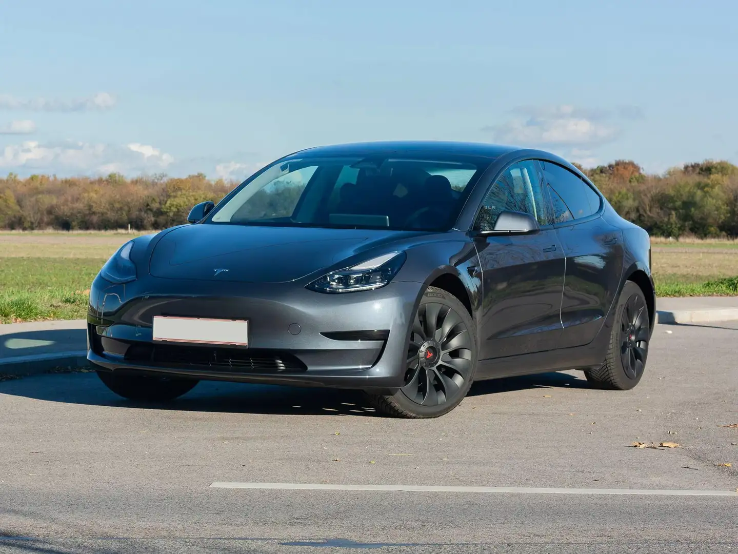 Tesla Model 3 Model 3 Standard Range RWD Plus 57,5kWh RWD Plus Grau - 1