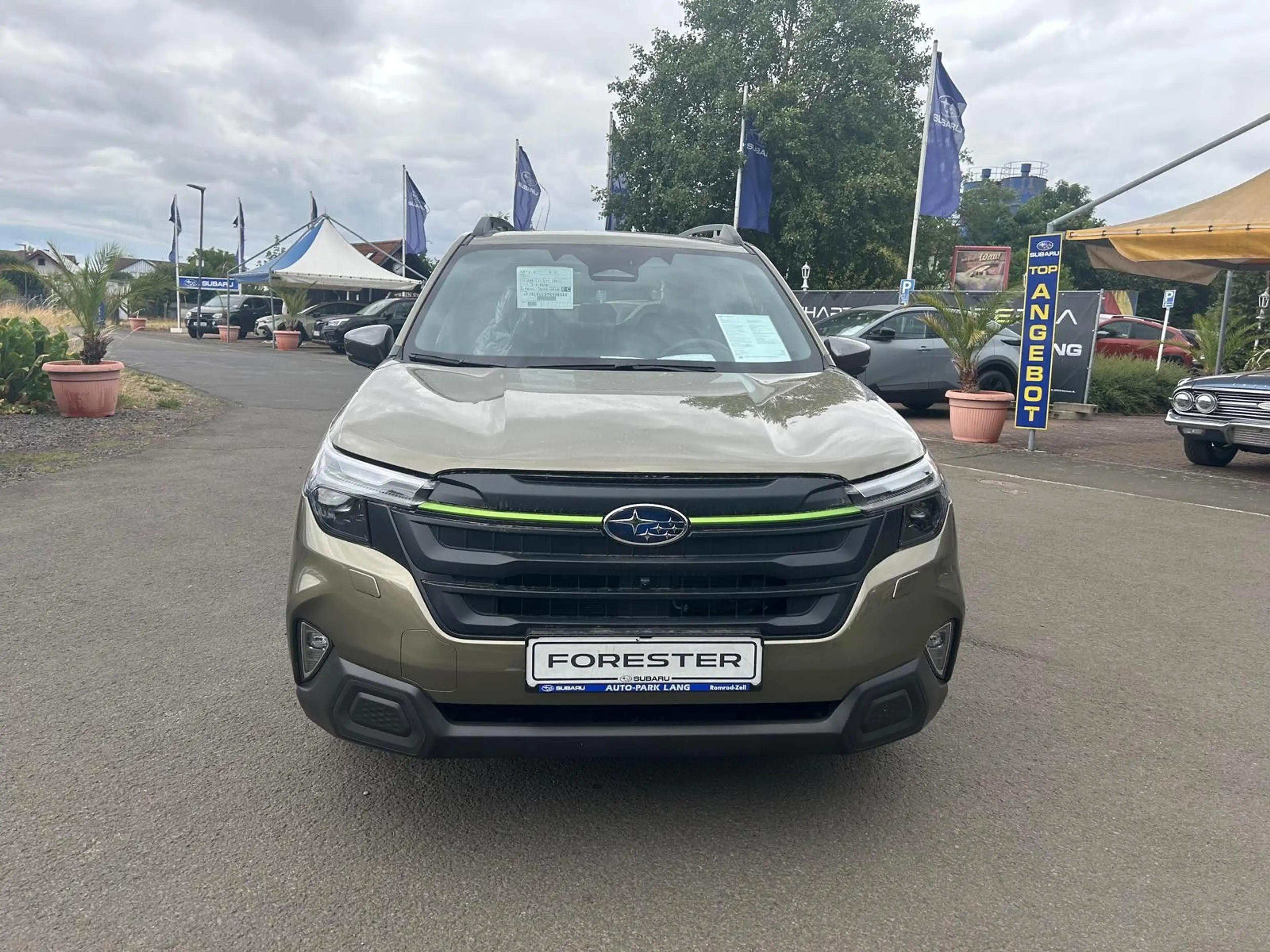 Subaru Forester Exclusive Cross Lineatronic — photo 8