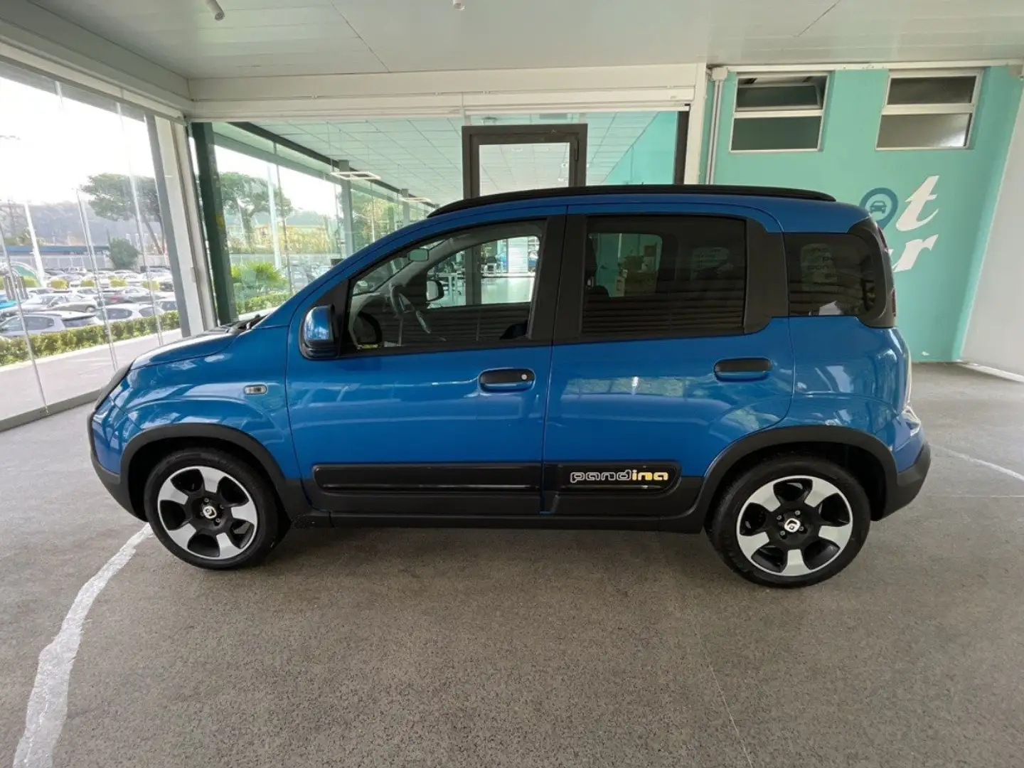 Fiat Panda 1.0 FireFly 70cv S&S Hybrid Pandina Blu/Azzurro - 2