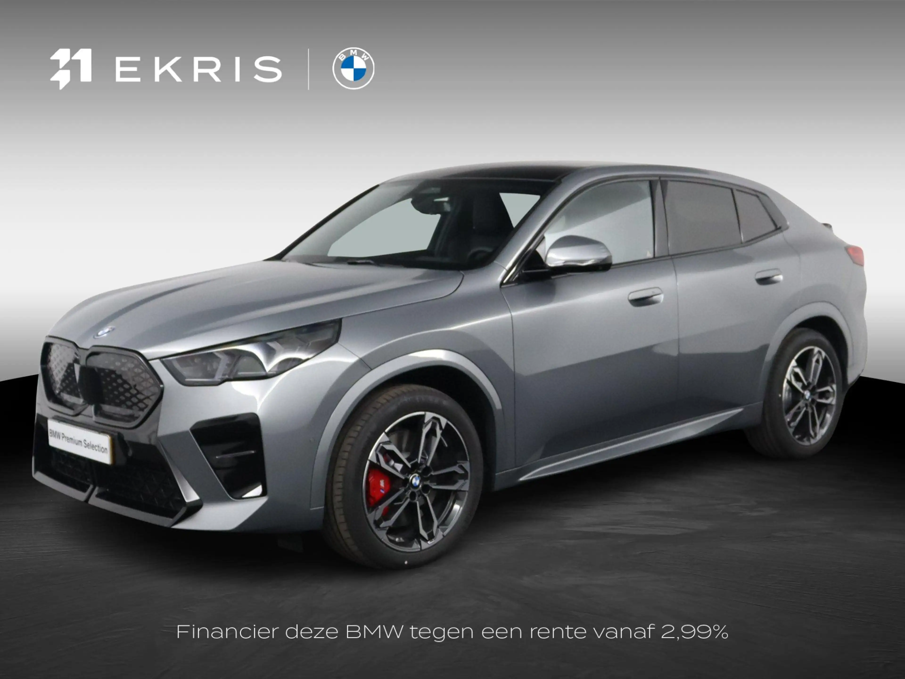BMW iX2 eDrive20 67 kWh M Sport Edition M Sport Pro | Trek