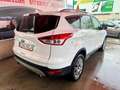 Ford Kuga 2.0TDCi Titanium 4x4 Powershift 140 Bianco - thumbnail 13
