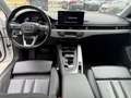 Audi A4 allroad A4 allroad 40 TDI 204 CV S tronic Business Evolut Blanc - thumbnail 12