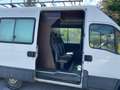 Iveco Daily 35 S 15  LUFTFEDERUNG AHK 6600€ NETTO 3,5To AHL Biały - thumbnail 12