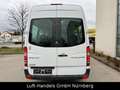 Mercedes-Benz Sprinter II Kasten/Bus  313 CDI 14 Sitzer Klima Weiß - thumbnail 5