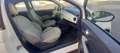 Fiat 500 Benz. cc. 1.2 Mod. Lounge Cambio Automa. x NEOPAT. Weiß - thumbnail 11