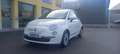 Fiat 500 Benz. cc. 1.2 Mod. Lounge Cambio Automa. x NEOPAT. Bianco - thumbnail 1