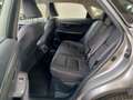Lexus NX 300 NX Hybrid 4WD Executive Or - thumbnail 13