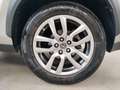 Lexus NX 300 NX Hybrid 4WD Executive Or - thumbnail 14