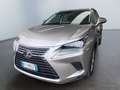 Lexus NX 300 NX Hybrid 4WD Executive Or - thumbnail 1