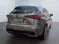 Lexus NX 300 NX Hybrid 4WD Executive Or - thumbnail 6
