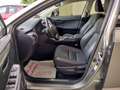 Lexus NX 300 NX Hybrid 4WD Executive Or - thumbnail 10
