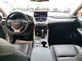Lexus NX 300 NX Hybrid 4WD Executive Or - thumbnail 12