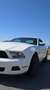 Ford Mustang 4.0 V6 Bianco - thumbnail 2