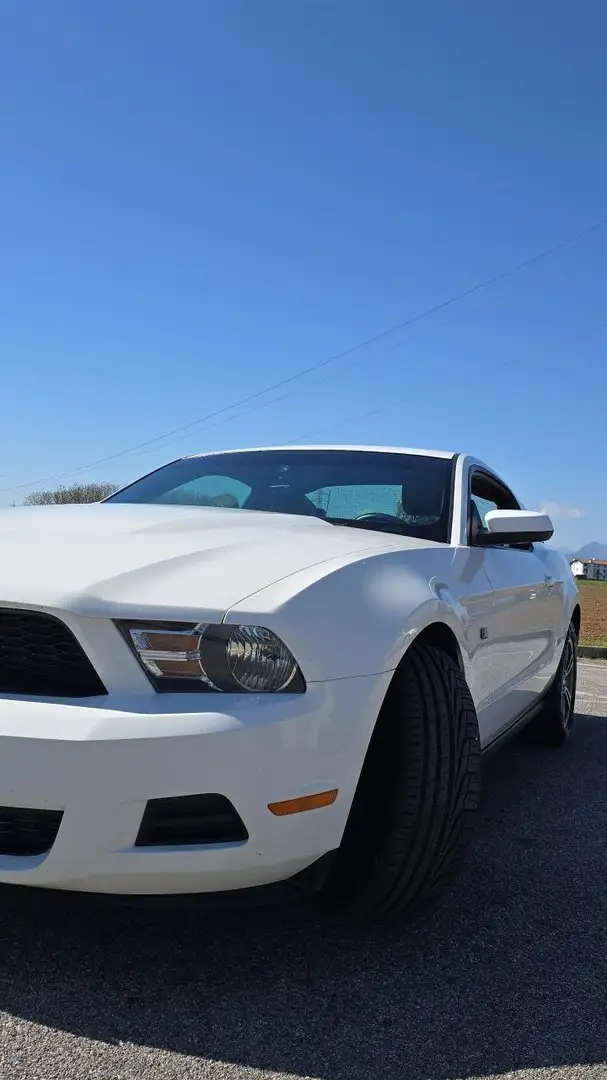 Ford Mustang 4.0 V6 Bianco - 2