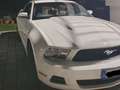 Ford Mustang 4.0 V6 Bianco - thumbnail 3