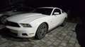 Ford Mustang 4.0 V6 Bianco - thumbnail 4