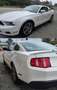 Ford Mustang 4.0 V6 Bianco - thumbnail 1