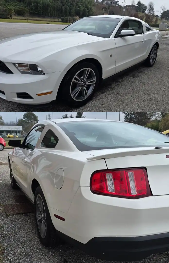Ford Mustang 4.0 V6 Bianco - 1